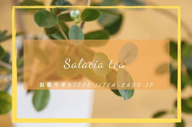 サラシア茶の味は 効果 効能 飲み方を解説 副作用や妊娠時の心配事は お茶ラボ