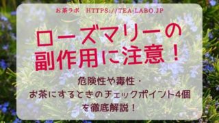 ローズマリー茶の効果 効能 味や美味しくなる淹れ方もチェック お茶ラボ