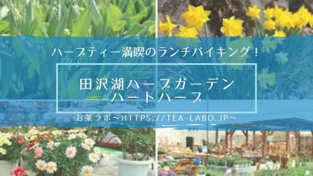 ローズマリーの副作用に注意 危険性や毒性 お茶にするときのチェックポイント4個を徹底解説 お茶ラボ