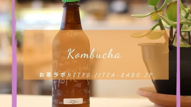 サルノコシカケ茶の気になる味は 効果 効能 飲み方を解説 副作用や妊娠時の心配事は お茶ラボ